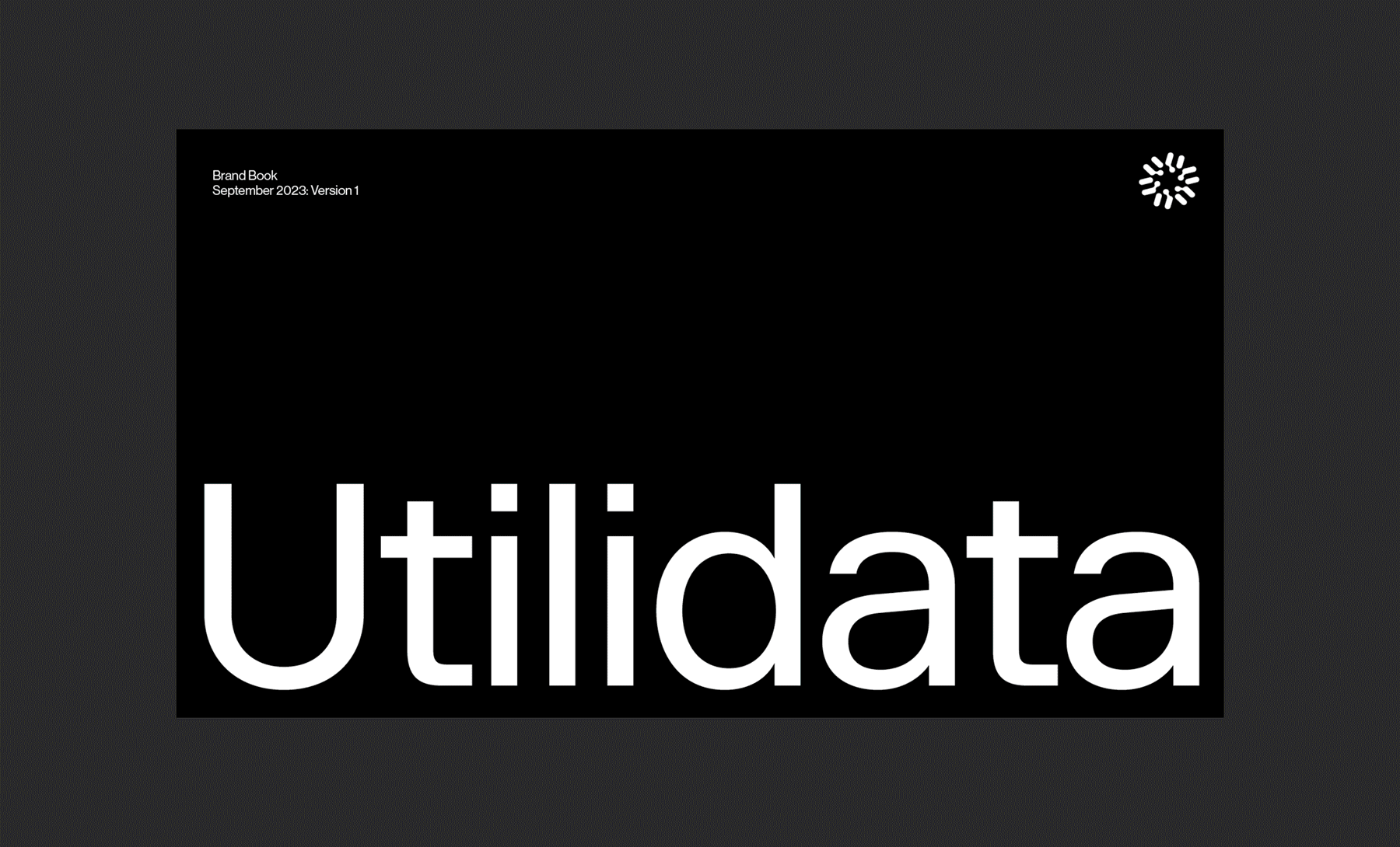 Utilidata Brand Guidelines in animated form