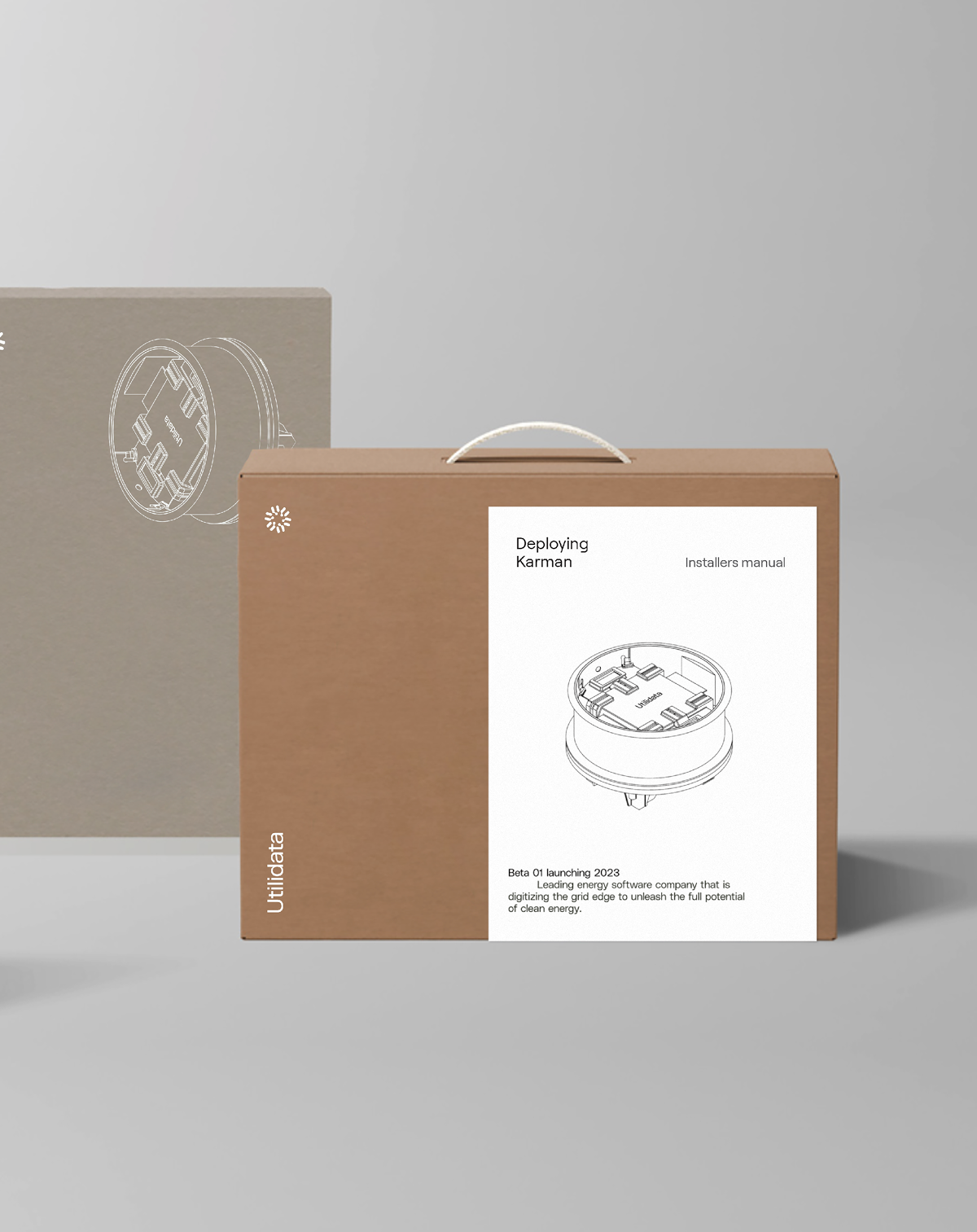 Utilidata product packaging on brown box cartons