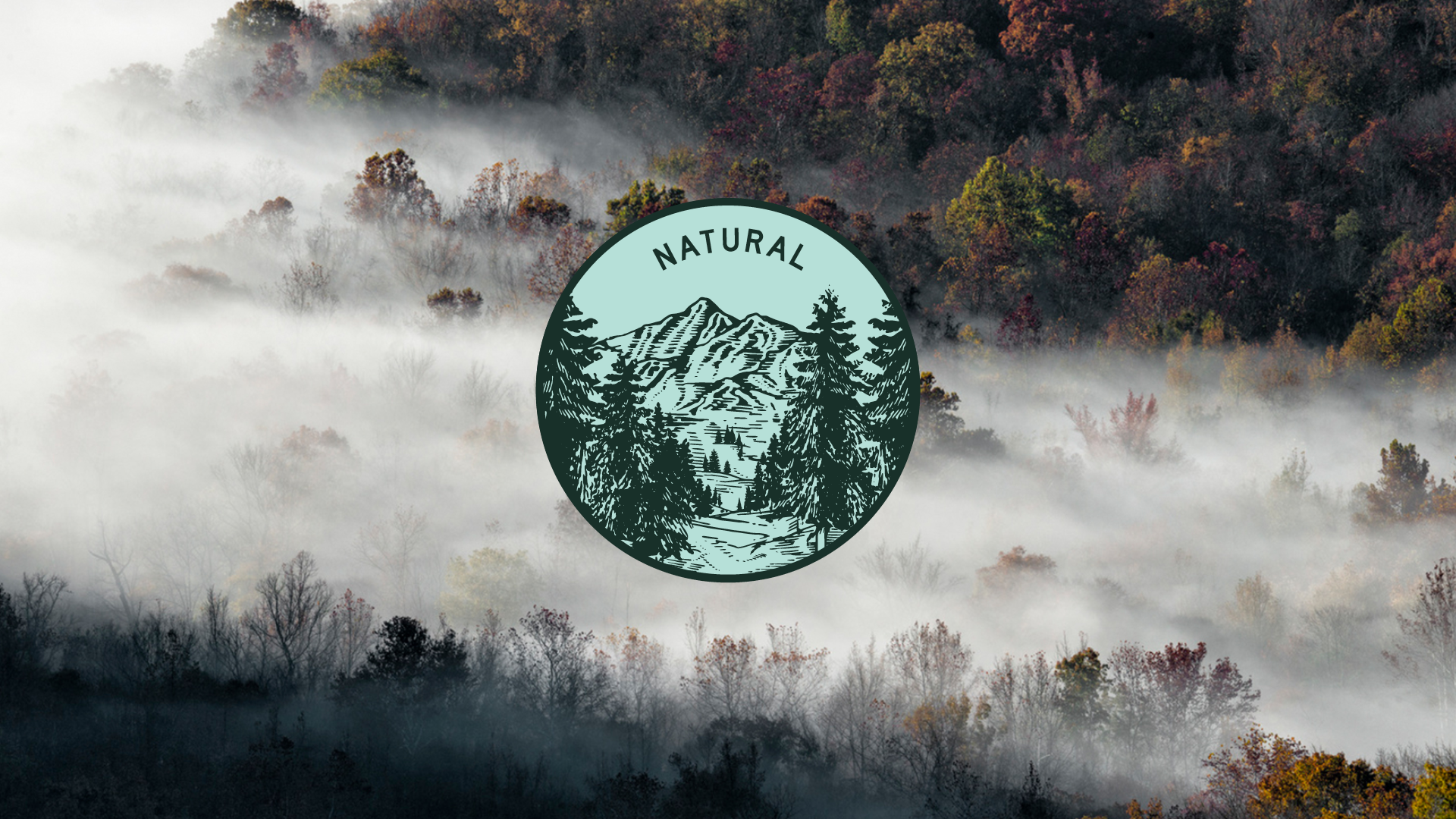 Mountain Valley Logo illustration