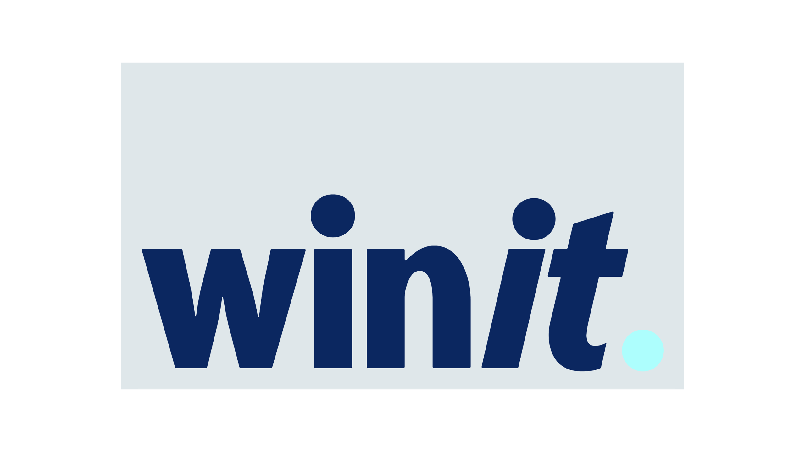 Winit Brand logo on white