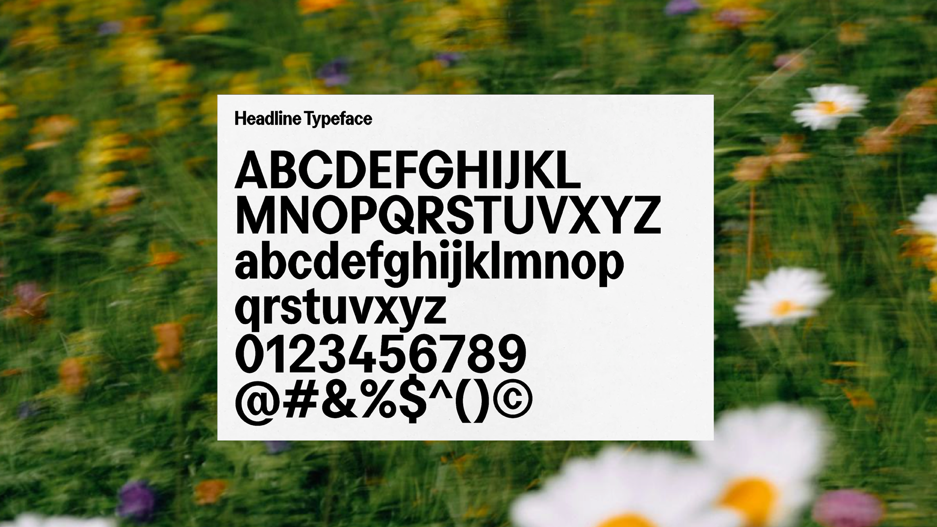 Image of the wheelhouse brand typeface on a white piece of paper, overlaid on grass.
